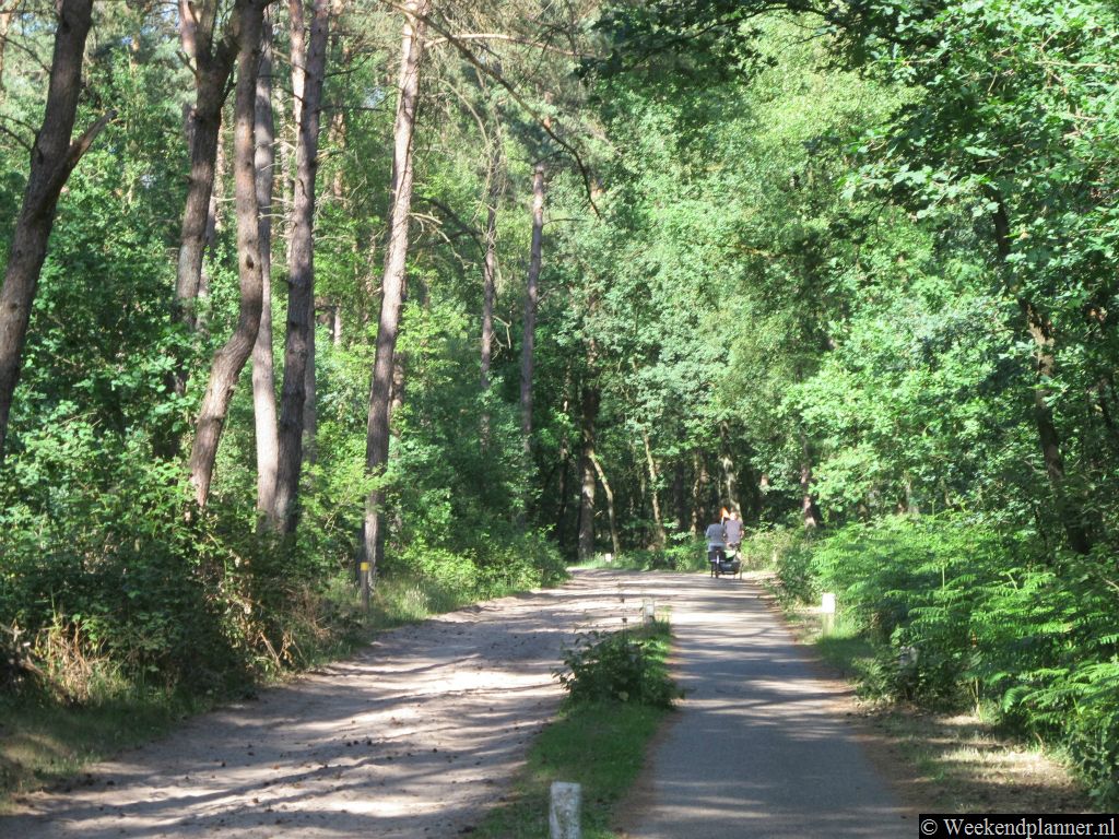 In de bossen en heidevelden rond Oisterwijk ligt een netwerk van fietspaden en wandelpaden. Tips: Handige wandelaccessoires in de bossen.